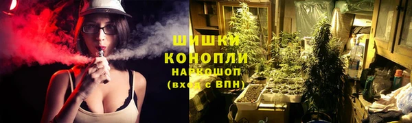 винт Баксан